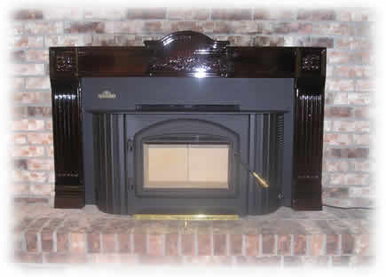 Installed Napoleon Fireplace Insert 2